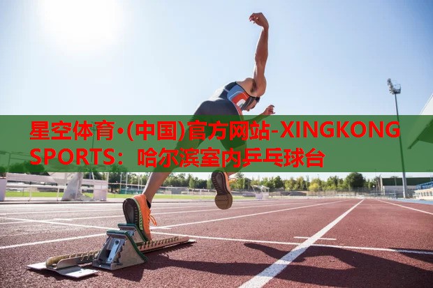 星空体育·(中国)官方网站-XINGKONG SPORTS：哈尔滨室内乒乓球台