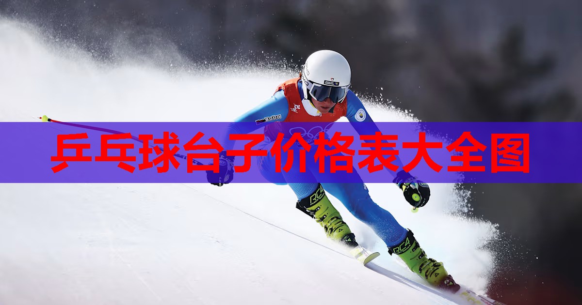乒乓球台子价格表大全图