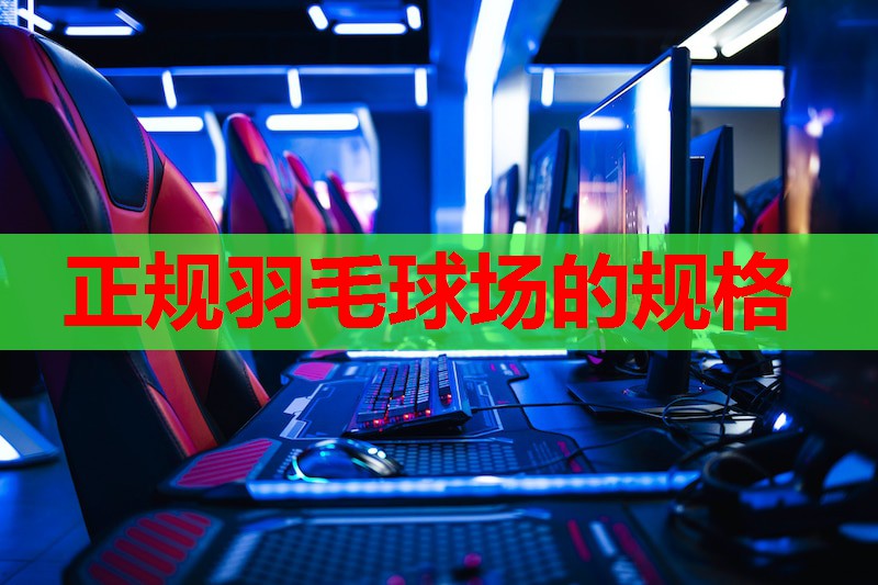 正规羽毛球场的规格