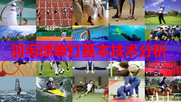 羽毛球单打基本技术分析