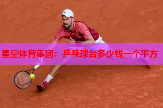 乒乓球台多少钱一个平方