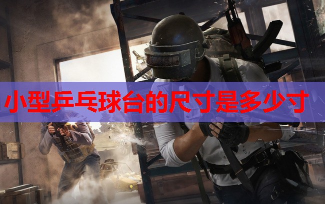 小型乒乓球台的尺寸是多少寸